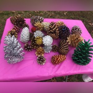 Lot of glitter pine cones